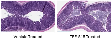 Two microscopic images of tissue slides: the left is labeled Vehicle Treated and the right TRE-515 Treated, showing structural differences in tissue morphology between the two treatment groups.